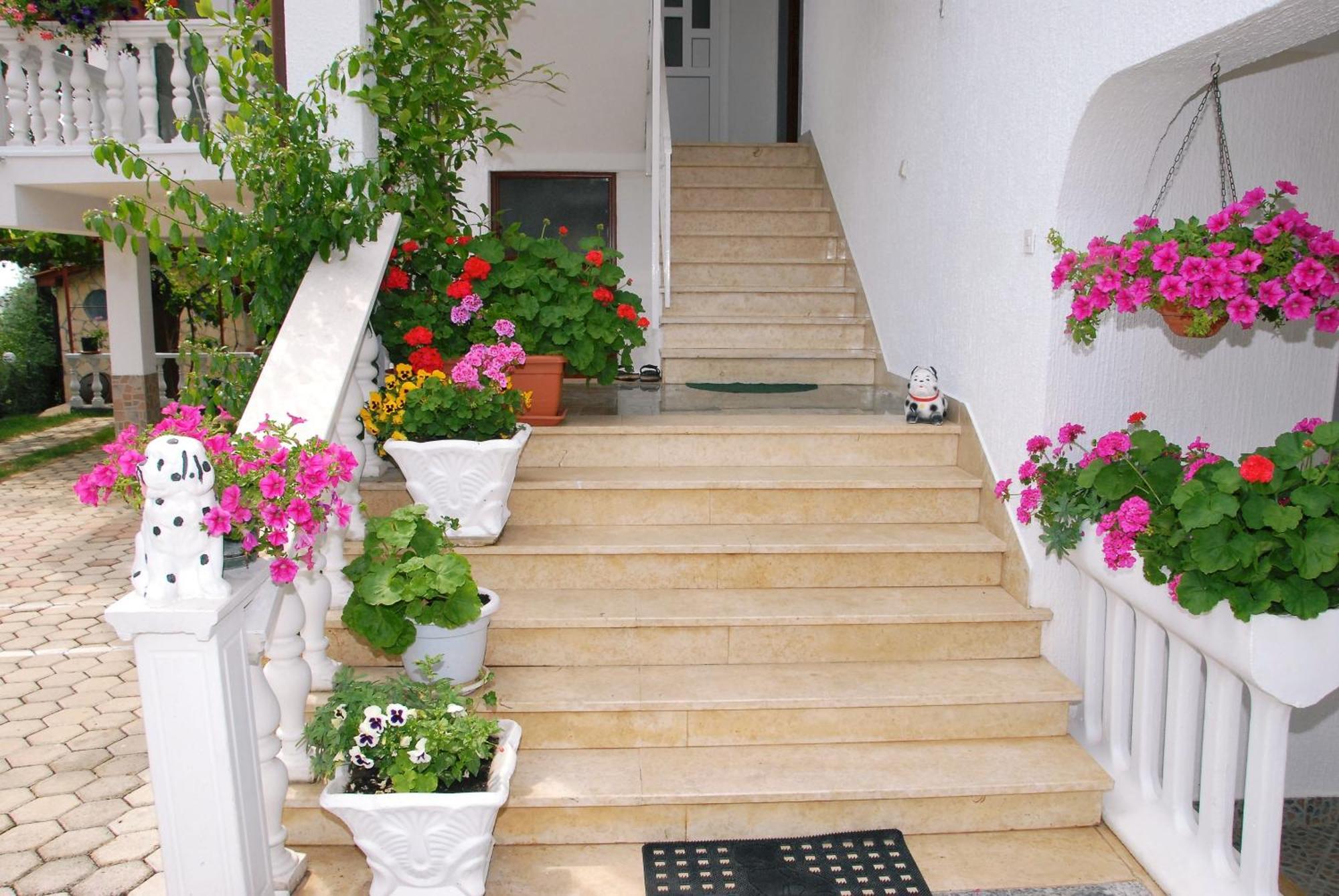 Apartamento House Lucija Poreč Exterior foto